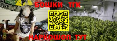 ешки Будённовск