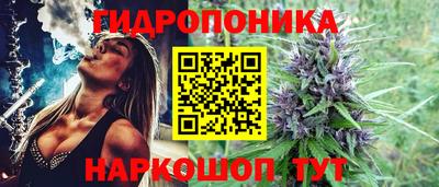 ешки Будённовск