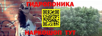 ешки Будённовск