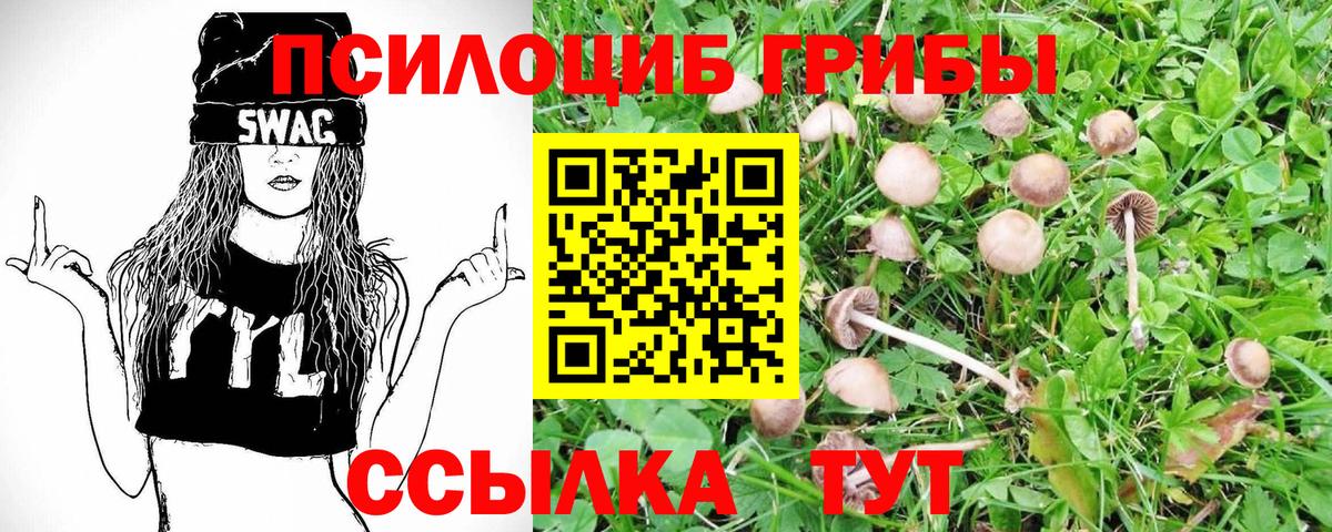 Сланцы  Галлюциногенные грибы мицелий  Вход с VPN 