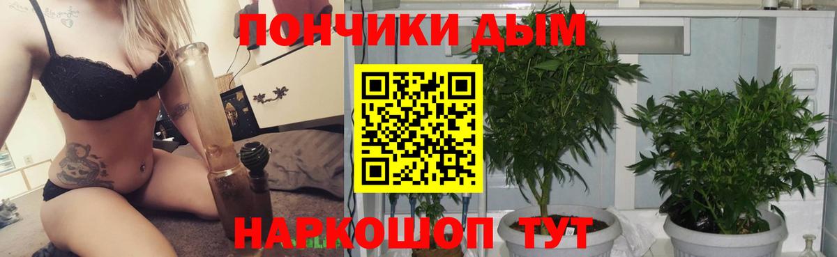 Канабис индика  Вход с VPN  Сланцы  Канабис SATIVA & INDICA  Каннабис планчик 